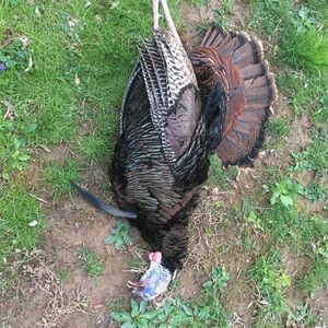 Meet your Posher, Scott